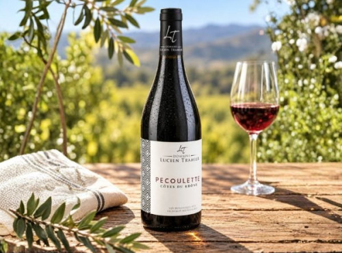 Domaine Lucien Tramier - Côtes du rhône rouge 2024 "Pecoulette" rouge BIO