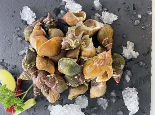 Notre poisson - Bulot vivant - 1kg