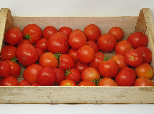 Langevine - Tomate Ronde Paola 4kg