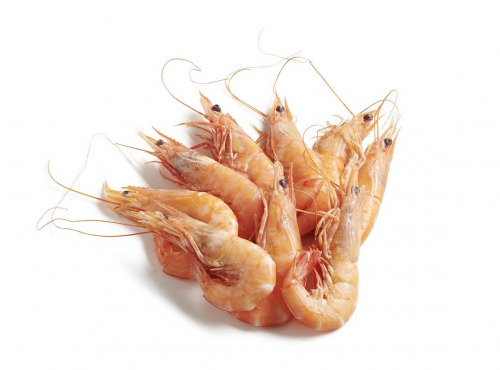 Le Termer - Crevettes roses 40/60