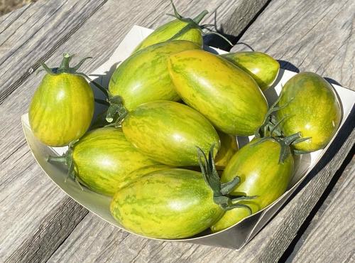 Ferme Sinsac - Tomates green zebra type olivettes