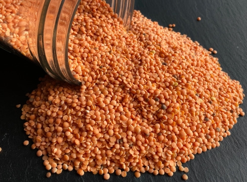 La Ferme du Joyeux Laboureur - Lentilles corail décortiquées en vrac 1kg