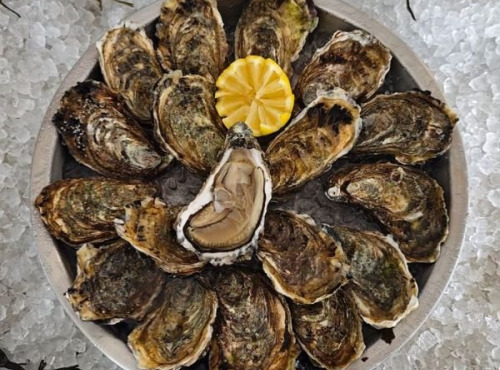 Aquaculture Chez Jaouen - Huîtres creuses fines du Morbihan N°4x72