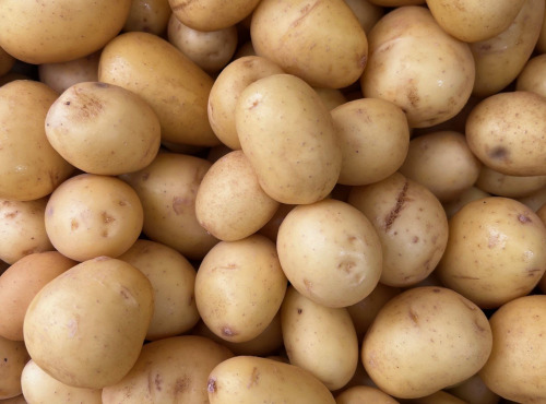 Domaine Reverchon - Pomme de Terre Grenaille 3Kg