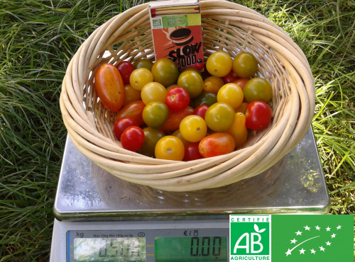 LES JARDINS DE KARINE - Tomates cerises en mélange - 500g