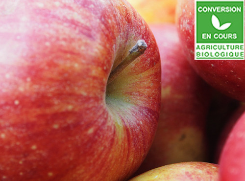 Mon Petit Producteur - Pomme Bicolore Ariane