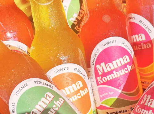 Mama Kombucha - Pack Découverte – 12 bouteilles de Kombucha artisanal bio Mama Kombucha (6 saveurs différentes)
