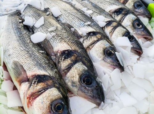 Ocean Frais - Bar Sauvage vidé - Pièce de 700g/900g