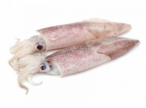 Poissonnerie La Piriacaise - encornet entiers non nettoyés