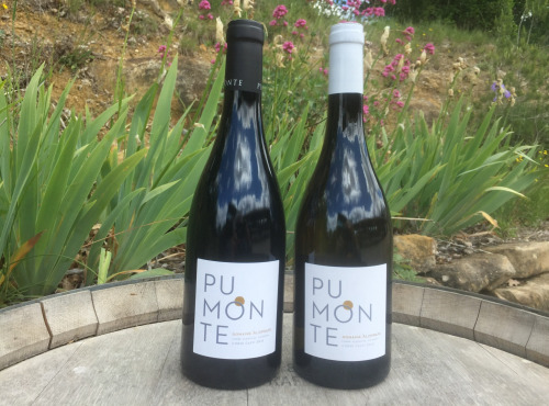 Depuis des Lustres - Comptoir Corse - Calvi Pumonte - Domaine Alzipratu - Duo