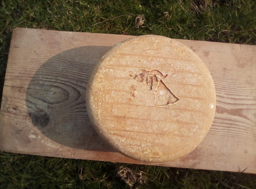 La ferme Lassalle - Fromage de Brebis AOP Ossau-Iraty Fermier d'Estive Boule Entière - 6 mois - 4,8kg