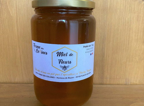 La Ferme des Collines - Miel de fleurs 1kg