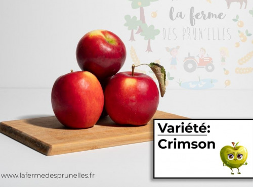 La Ferme des Prun'Elles - Pomme Crimson