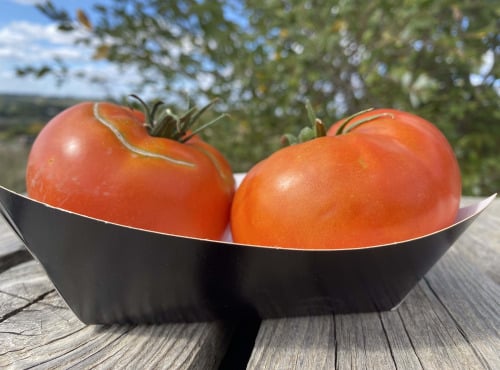 Ferme Sinsac - Tomate legend a farcir