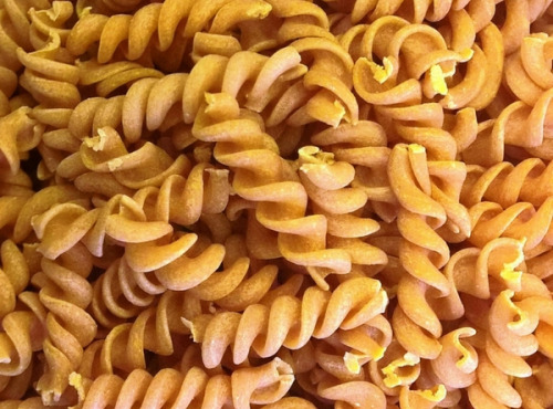 L'Atelier à Pâtes - Mini-fusilli Tomate-oignon Bio