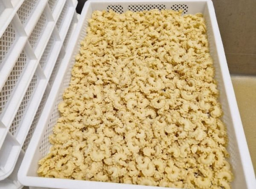 Lioravi, l'authentique pâte fraîche ! - [Précommande] Pâtes Fraîches - Creste Bio - 1kg
