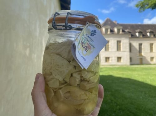 ChâteauFer - Lacto de chou vigne 1kg