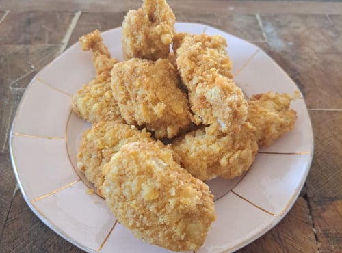 EARL Plumes et Laines - nuggets de poulet 1kg