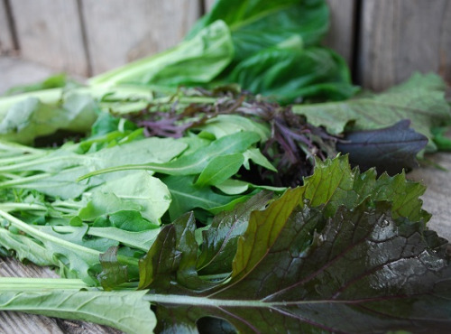 La Boite à Herbes - Mesclun Asiatique - 100g