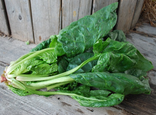 La Boite à Herbes - Epinard feuille Bio - 500g