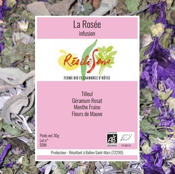 Résilisens - La Rosée