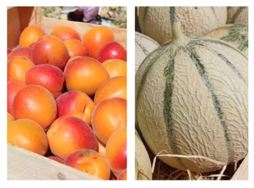Domaine Reverchon - Melon du Vaucluse x 2 + 2 kg Abricots