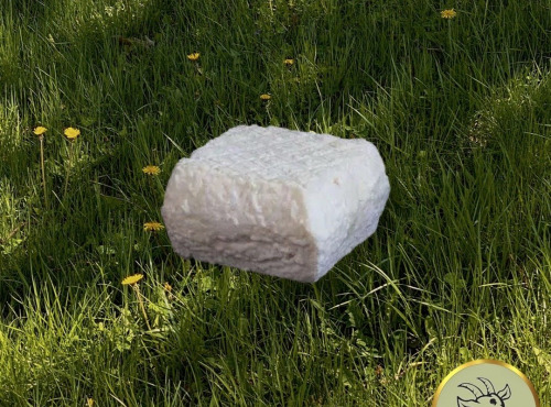 Fromagerie des Gors - Petit pavé