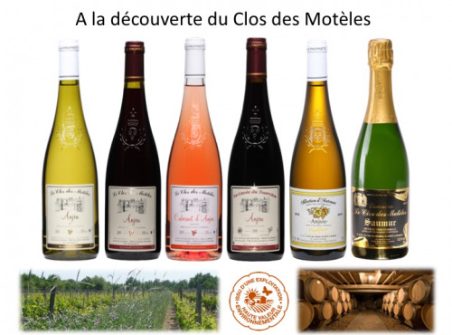 Château de Belleville Maison Baron - A La Découverte Du Clos Des Motèles