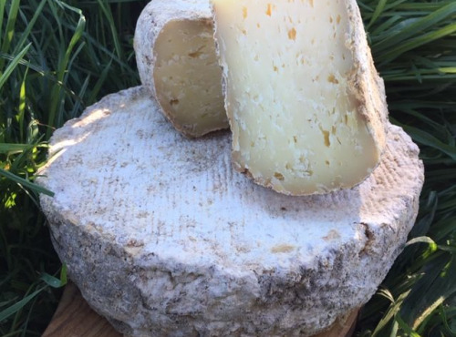 Ferme Fromagère Riès - Tomme De Brebis Par 250g
