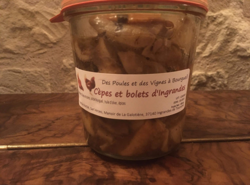 Des Poules et des Vignes à Bourgueil - Cèpes De Bourgueil