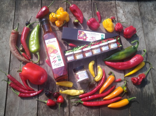 HERBA HUMANA - Kit pimenté : Mélange de piment 550g, coffret piment, la pimentée et le piment hot lemon 12g