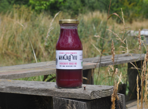 Manjar Viu : Légumes lacto fermentés - Jus de chou rouge au gingembre-lacto fermenté