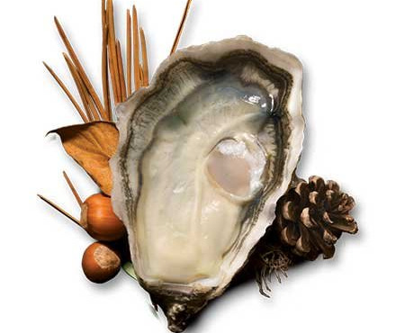 Les Huîtres Courdavault Alain & Fils - Spéciales de Claires IGP Marennes-Oléron N°3 – Lot Écailler 45 kg (3 x 15 kg)