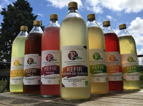 TK Bio - The Kefir et Kombucha Compagnie - Pack Kéfir de fruits  3 x 1 litre BIO