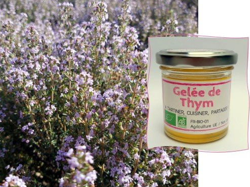 L'Agricueilleur du Suzon - Gelée de thym Bio
