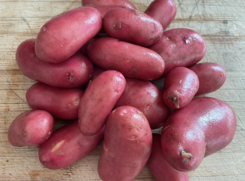 Le Potager de Sainte-Hélène - Pomme de terre nouvelle rouge 1kg