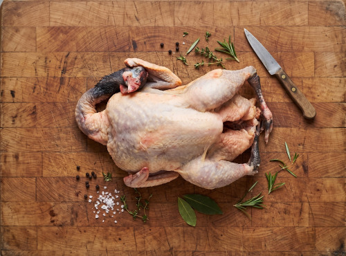 Terres de Bon Sens - Pintade BIO Maxi 1,6 à 1,7 kg