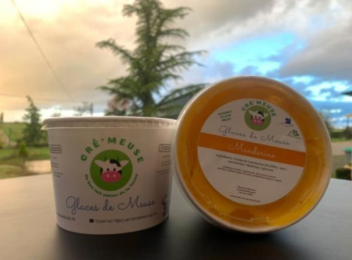 Glaces de Meuse - Sorbet Plein Fruit Mandarine 360g