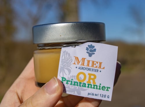 ChâteauFer - Miel Printannier 125g