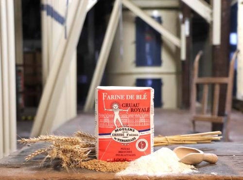 Moulins de Versailles - Farine Gruauroyale - 1kg