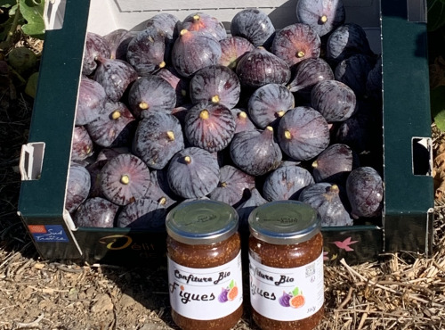 Délit de Gourmandise - Lot 3,5kg Figues Noires Fraiches Bio et 2x360g de Confiture de Figues Bio