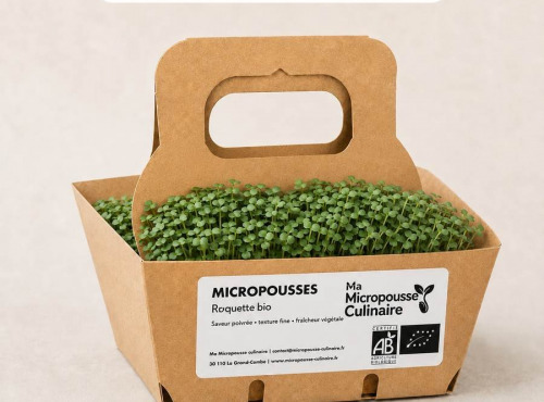 Ma Micropousse culinaire - Micro-pousses bio de roquette