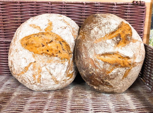 La Ferme des Collines - Lot De 2 Pains: L'ancien 500g + Le Champêtre Aux Graines 500g (100% Blés Anciens)