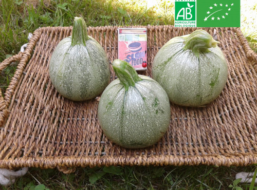 LES JARDINS DE KARINE - Courgette 'Ronde de Nice' - 1kg