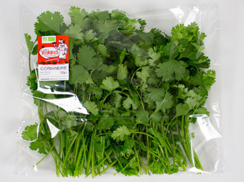 La Boite à Herbes - Coriandre Fraîche - Sachet 200g