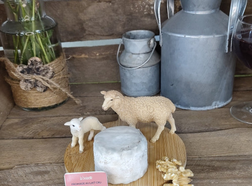 Boutique Boisette - Pur brebis affiné 80g