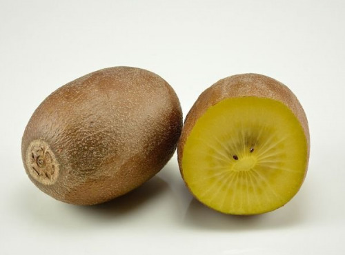 Verger Nantes Prim - Kiwis jaunes 2 kg