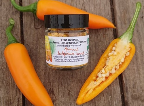 HERBA HUMANA - Piment Bulgarian Carrot - 12g
