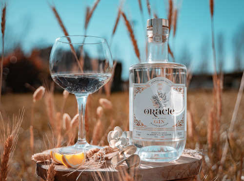 Cham B - ORACLE Gin Distillé, Intensité Aromatique, Charente