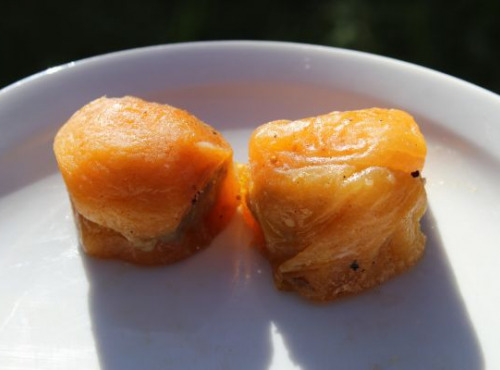 Ferme de Pleinefage - Abricots farcis au foie gras entier x5